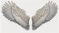 Illustration of a 2-dimensional pair of angel wings for mockup