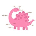 Dinosaur vocabulary part of body.vector
