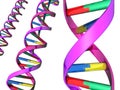 Illustration of DNA double helix Royalty Free Stock Photo