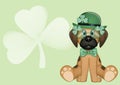 Dog with decorations for St. Patrick`s Day