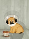 Illustration of dog with Elizabethan collar