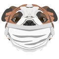 Illustration dog English bulldog with respirator
