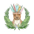 Dog in feather headdress