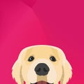 Illustration Dog Golden retriever looking over wall