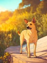 beautiful shot cute dog with raised ears illustration Royalty Free Stock Photo