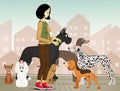 Dog sitter with various breeds of dogs Royalty Free Stock Photo