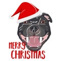 Illustration Dog Staffordshire Bull Terrier Merry Christmas Royalty Free Stock Photo