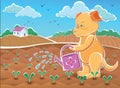 Illustration Dog - watering seedbeds with green plants Royalty Free Stock Photo