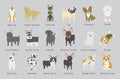 Illustration of dogs breed collection