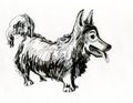 Illustration of a domestic dog of a well-known breed, a favorite of children and the whole family.