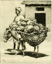 Illustration of donkey with clay pots