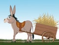 Donkey pulling cart with hay Royalty Free Stock Photo