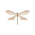 Dragonfly with long brown body and two pairs of transparent wings. Small flying insect. Flat vector design