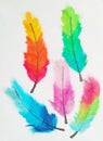 Illustration Drawing by hand, bird feathers colorful