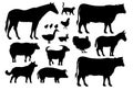 Illustration drawing style of farm animals collection Royalty Free Stock Photo