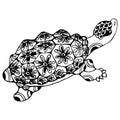 Illustration of a drawn stylized turtle, decorated with ornaments. Sketch. Tattoo. Design for children\'s coloring