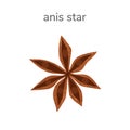 Illustration of dry anis star spice front view isotated on white background. Hand drawn illustration. Royalty Free Stock Photo