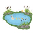 illustration of a duck and ducklings. Mother duck swims in the lake with small ducklings around grass.