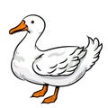 Illustration of Duck -Vector Illustration