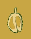illustration of durian fruit with prickly skin, delicious sweet fruit with a very pleasant smell