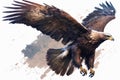 Illustration of eagle birds flying is compelling