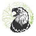 Illustration of an eagle. Eagle vector illustration. Linocut eagle.