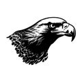 Illustration of eagle head in black and white style. Royalty Free Stock Photo