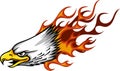 Illustration Eagle Head Flame Vector Template Design