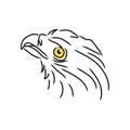 Illustration of eagle head. Logo concept. Royalty Free Stock Photo