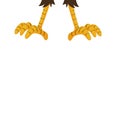 An illustration of eagle or another animal claws or talons Royalty Free Stock Photo