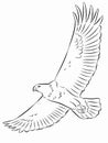 Illustration of eagle, vector drawing Royalty Free Stock Photo
