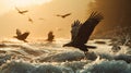 Eagles flying out of water and hovering at dawn Royalty Free Stock Photo