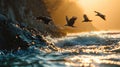 Eagles flying out of water and hovering at dawn Royalty Free Stock Photo