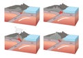 illustration of earth crust movement