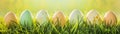illustration of an easter background banner with seven eggs in a row on green grass