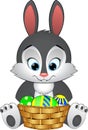 Illustration Easter bunny with basket Royalty Free Stock Photo