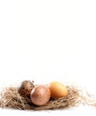 Natural Colors of Easter Eggs with White Space for Text