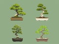 Illustration of Elegant Bonsai