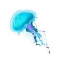 Illustration: Elements Set: Jellyfish.