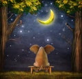 Illustration of a elephant on a bench in night forest Royalty Free Stock Photo