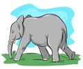 Illustration elephant cartoon