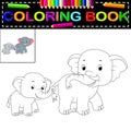 Elephant coloring book