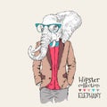 Illustration of elephant hipster dressed up in jacket, pants and sweater. Vector illustration