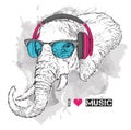 Illustration of elephant hipster dressed