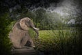 Elephant, Peace, Nature, Spiritual, Love, Hope Royalty Free Stock Photo