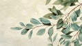 Illustration of eucalyptus branches with green leaves Royalty Free Stock Photo
