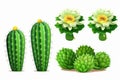 Illustration of exotic cacti with flowers on a white background. Generative AI