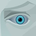 Illustration of eye detail, vector drawing Royalty Free Stock Photo