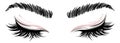 Illustration of eye makeup and brow on white background