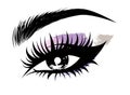 Illustration of eye makeup and brow on white background Royalty Free Stock Photo